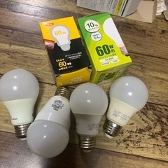 LED電球4つ　普通の2つ