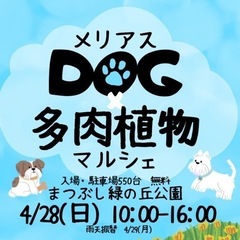 埼玉県　犬のイベント　多肉植物　マルシェ　メリアスマルシェ