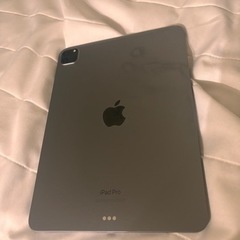 ipad pro 第四世代