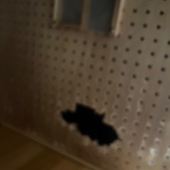 犬　防音ゲージ