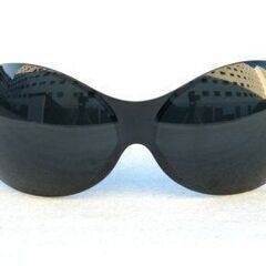 The FLYSHADES Sunglasses - Vikin...