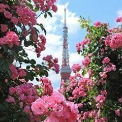 35～55才 東京散歩♪ ～1人参加～【芝公園】💖