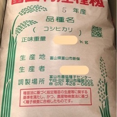 コシヒカリ　種籾