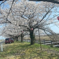 ギター交流会　初心者から経験者までの画像