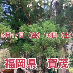 【特別企画5月17日18日】 沖縄ユタによる恋愛や家庭判断　福岡...