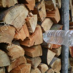 ■乾燥済み　広葉樹ミックス薪　約40kg  0423　リピーター...