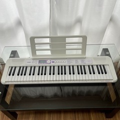 CASIO LK-315 HIKARI 2020年製