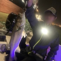 ボートシーバス🎣　初心者🔰🆗