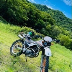 【ネット決済・配送可】カスタム多数‼️セロー225‼️バイク車体