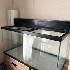 決まりました　中古90㎝水槽