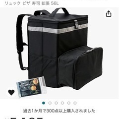 【ネット決済】デリバリーバッグ
