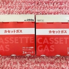 カセットコンロ用ボンベ250g×6本
