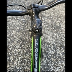 受付一時停止 GIANT 18ESCAPE JR24