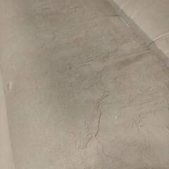 カルム　シャンプー椅子ﾀｶﾗﾍﾞﾙﾓﾝﾄ　カルム