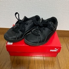 19.5cm　PUMA プーマ キッズシューズ