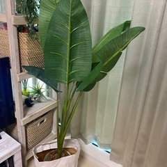 決まりました　差し上げます　光触媒　観葉植物　造花