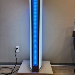 電飾看板　点滅LEDライト付き