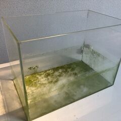 水槽3点セットです（中古品）