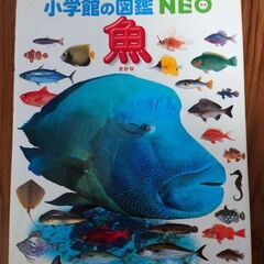 図鑑　小学館　Neo 「魚」