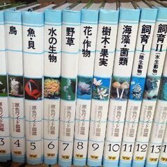 学研　原色ワイド図鑑26巻セット