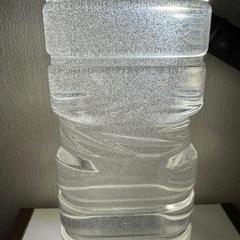 ゾウリムシ 900ml 1本
