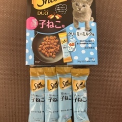 子猫 餌 