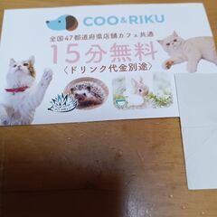 値下げしました  coo ＆ riku 全国店舗共通 カフェ 1...