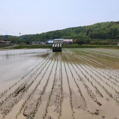 【日払い可能】田植え作業を手伝っていただけるアルバイトさん…