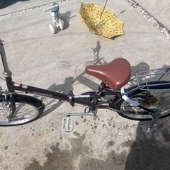 自転車(決まりました)