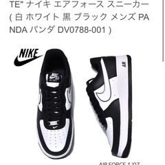 NIKE 24.5