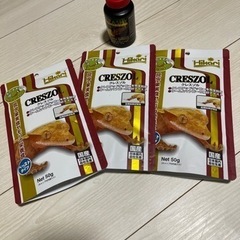 クレステッドゲッコー飼育セット