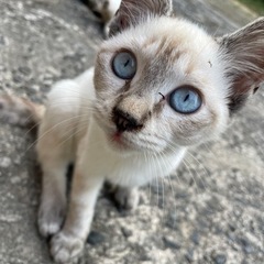 お茶目で活発な1歳の女の子です♡