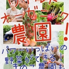 貸し農園❗️パワーいっぱいの野菜ができる　ワイルドオーガニック農...