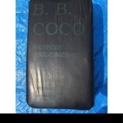 クレステッドゲッコー飼育セット