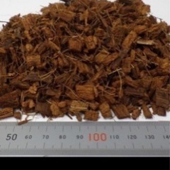 クレステッドゲッコー飼育セット