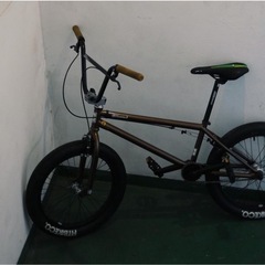 BMX Fitbike co