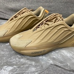 adidas 24.5cm