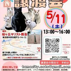 【5月11日(土)】猫の譲渡会 in 多摩市