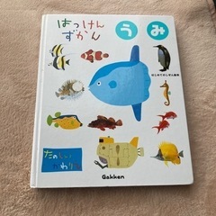 絵本　うみの図鑑　生き物