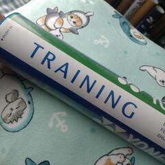 バドミントンシャトル　TRAINING　基礎打ち〜ミニゲーム用