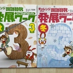 チャレンジ3年生 国語算数発展ワーク　2冊