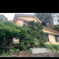 🔴静岡県伊東市宇佐美🔴一戸建て賃貸🟡ＤＩＹ可🟢庭付き物件🟢