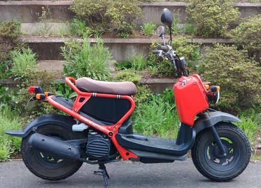 ズーマー　赤　(No.2137) ズーマー 赤 (No.2137)