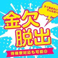 ＜京都市＞カバン1個で即入寮...！？！？アニメグッズの箱詰め作業