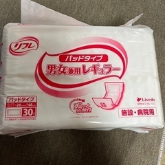 介護用品パッドタイプレギュラー