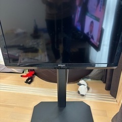 家電 テレビ 液晶テレビ