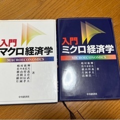 入門マクロミクロ経済学