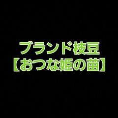 No.803　お早めに‼️濃厚な味わい‼️①ブランド枝豆の苗【お...