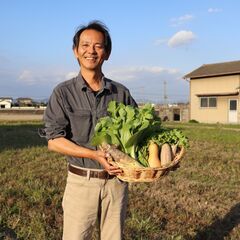 徳島県名西郡石井町浦庄で農作業、無農薬野菜仕分けのお仕事！…