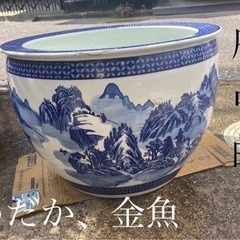 ⭐️金魚、めだか‼️飼育鉢‼️特大‼️美品希少‼️